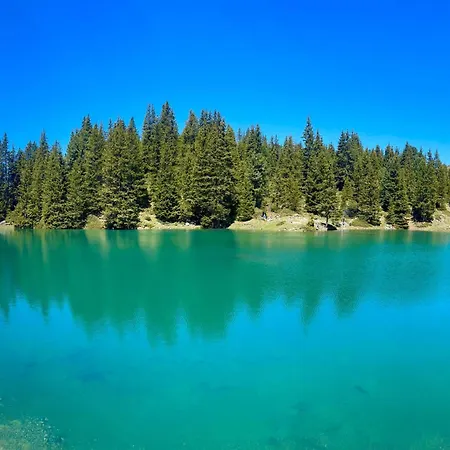 Baergblueemli By Interhome Achseten