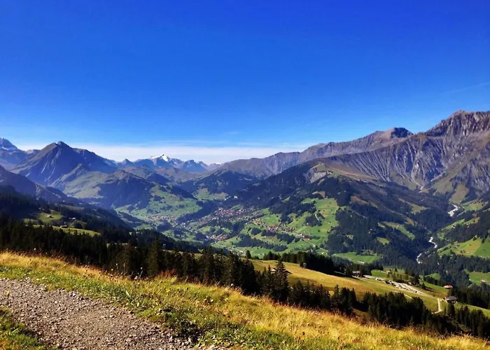 Baergblueemli By Interhome 펜션