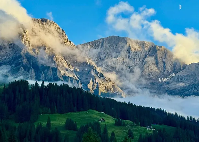 Baergblueemli By Interhome 펜션 Achseten