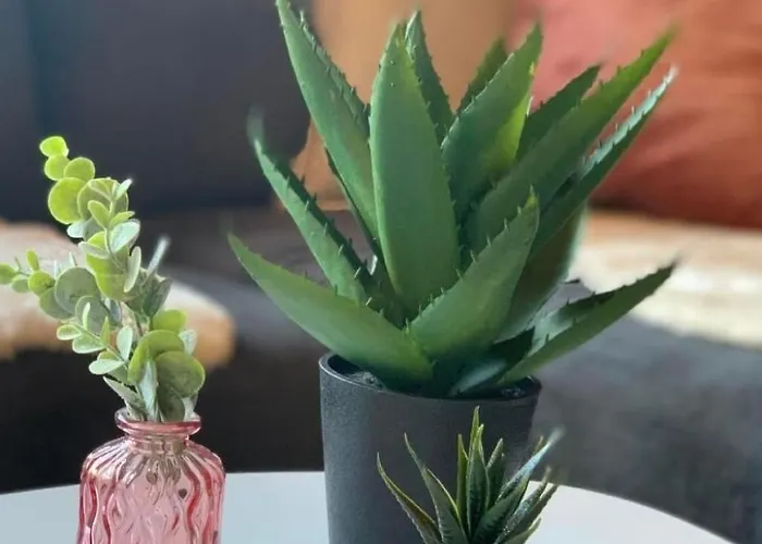 Baergblueemli By Interhome *