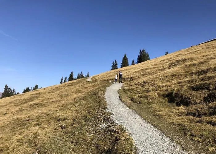 Baergblueemli By Interhome