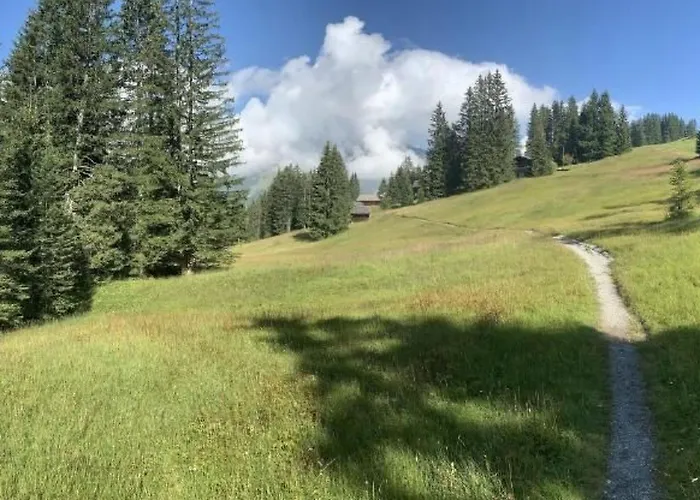 Baergblueemli By Interhome Casa de Férias