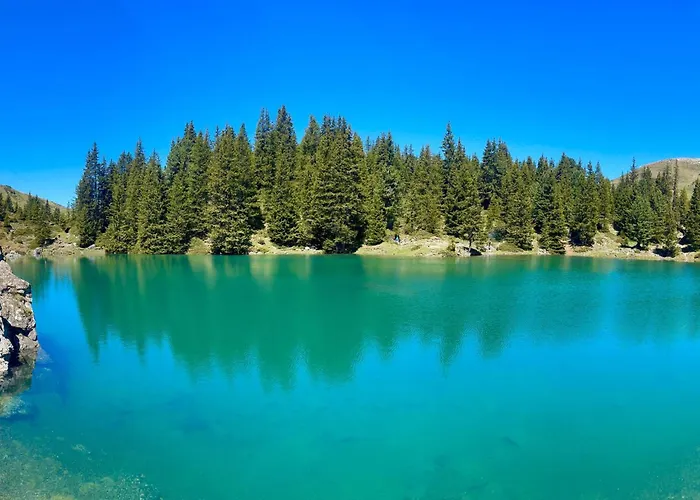 Baergblueemli By Interhome Achseten