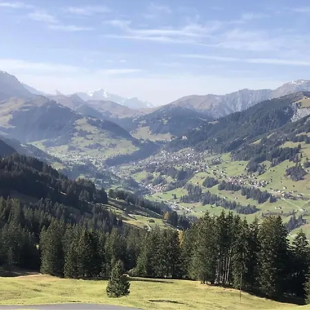 Baergblueemli By Interhome Дом отдыха