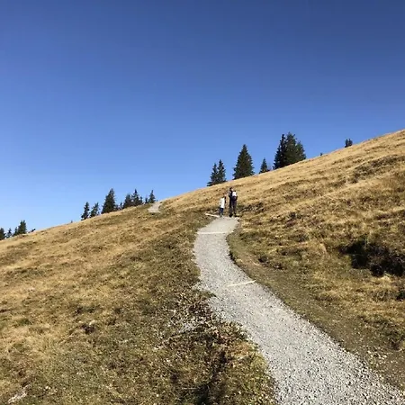 Baergblueemli By Interhome